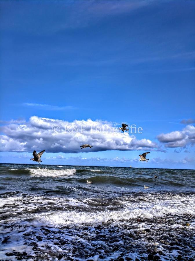 Ostseeblick