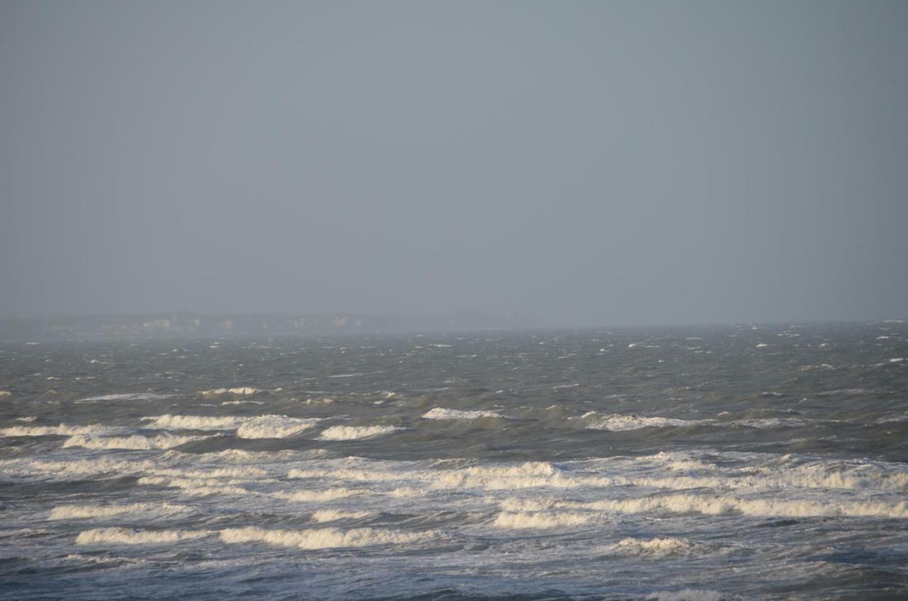 Ostseeblick Apartment *